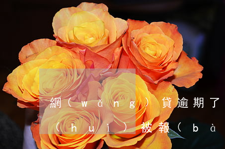 網(wǎng)貸逾期了會(huì)不會(huì)被報(bào)警(網(wǎng)貸逾期會(huì)報(bào)警嗎)
