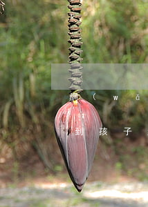 網(wǎng)貸逾期了會(huì)影響到孩子(網(wǎng)貸逾期了會(huì)影響到孩子)