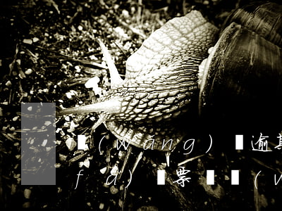 網(wǎng)貸逾期了會(huì)發(fā)傳票嗎(網(wǎng)貸逾期了會(huì)被起訴嗎)