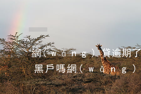網(wǎng)貸逾期了會(huì)變成黑戶嗎(網(wǎng)貸會(huì)不會(huì)成黑戶呢)