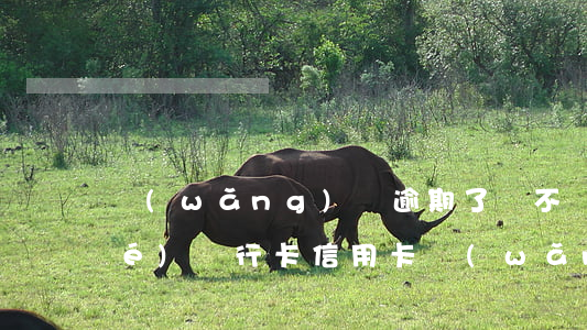 網(wǎng)貸逾期了會不會凍結(jié)銀行卡（信用卡網(wǎng)貸逾期會不會凍結(jié)銀行卡）
