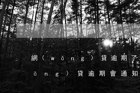 網(wǎng)貸逾期了會來家里嗎(網(wǎng)貸逾期會通知家人嗎)