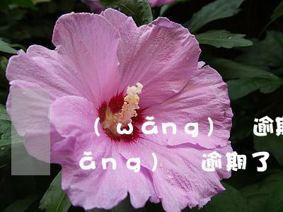 網(wǎng)貸逾期了會坐牢嗎-網(wǎng)貸逾期了會坐牢嗎知乎