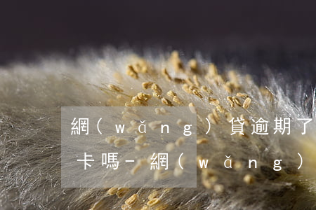 網(wǎng)貸逾期了會影響自己的信用卡嗎-網(wǎng)貸逾期了會影響自己的信用卡嗎知乎