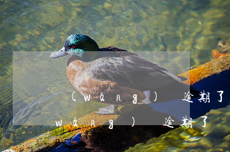 網(wǎng)貸逾期了會有什么后果(網(wǎng)貸逾期了會有什么后果?)
