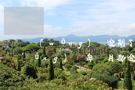 網(wǎng)貸逾期了每天睡不著(網(wǎng)貸每個月都逾期)