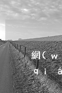 網(wǎng)貸逾期了沒(méi)錢(qián)怎么辦(網(wǎng)貸逾期了沒(méi)錢(qián)還怎么辦)