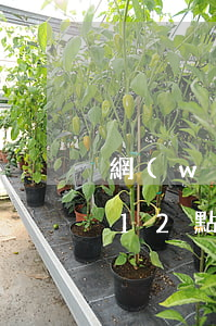 網(wǎng)貸逾期了法務(wù)部讓12點(diǎn)之前給他回復(fù)-網(wǎng)貸逾期了法務(wù)部讓12點(diǎn)之前給他回復(fù)信息