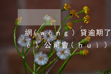 網(wǎng)貸逾期了用身份證辦個(gè)公司會(huì)有影響嗎-網(wǎng)貸逾期了用身份證辦個(gè)公司會(huì)有影響嗎