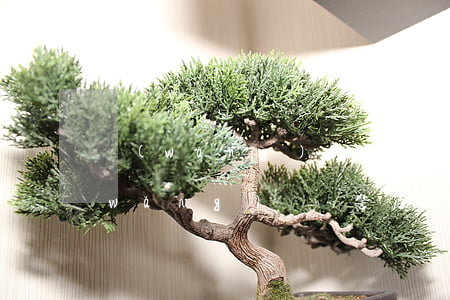 網(wǎng)貸逾期了申請警察幫忙(網(wǎng)貸報警后警察怎么處理)