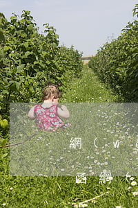 網(wǎng)貸逾期了發(fā)了律師函(網(wǎng)貸逾期了發(fā)了律師函怎么辦)