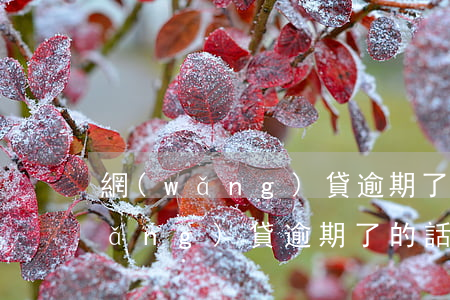 網(wǎng)貸逾期了的話還一點(網(wǎng)貸逾期了的話還一點)