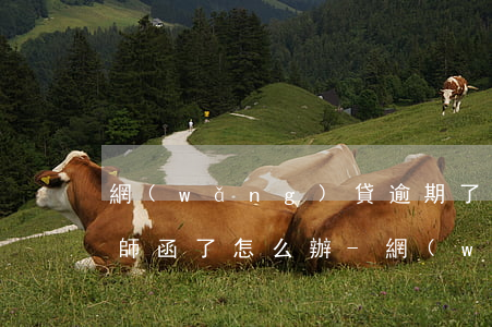 網(wǎng)貸逾期了給我發(fā)律師函了怎么辦-網(wǎng)貸逾期了給我發(fā)律師函了怎么辦呢