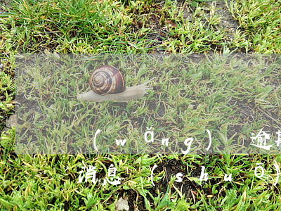 網(wǎng)貸逾期了給朋友發(fā)消息說(shuō)起訴我-網(wǎng)貸逾期了給朋友發(fā)消息說(shuō)起訴我是真的嗎