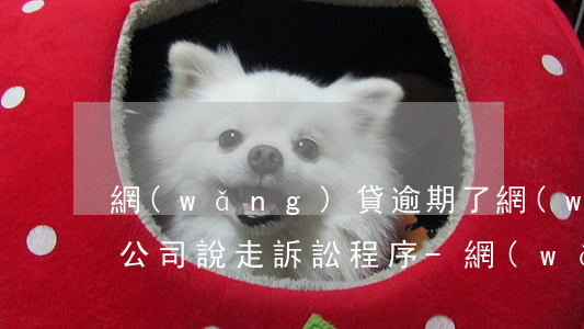 網(wǎng)貸逾期了網(wǎng)貸公司說走訴訟程序-網(wǎng)貸逾期了網(wǎng)貸公司說走訴訟程序是真的嗎