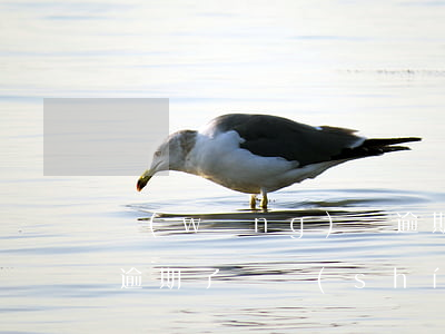 網(wǎng)貸逾期了，網(wǎng)貸逾期了暫時(shí)還不上怎么辦