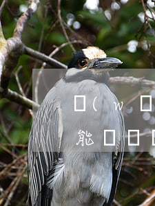 網(wǎng)貸逾期了背調(diào)能過嗎(網(wǎng)貸逾期最后會(huì)怎么樣)