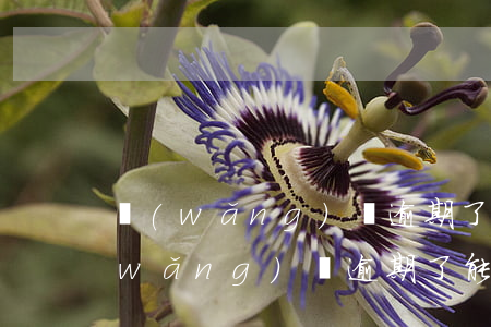 網(wǎng)貸逾期了能全款買房嗎(網(wǎng)貸逾期了能全款買房嗎)