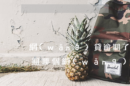 網(wǎng)貸逾期了能申請貸款嗎(有逾期哪個網(wǎng)貸能通過)