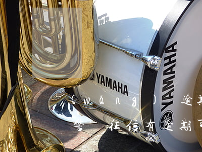 網(wǎng)貸逾期了能當(dāng)輔警嗎(征信有逾期可以當(dāng)輔警嗎)