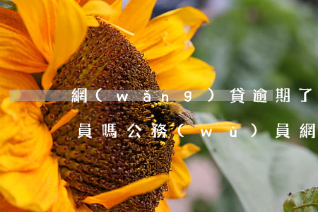 網(wǎng)貸逾期了能考公務(wù)員嗎(公務(wù)員網(wǎng)貸逾期太多會(huì)辭退嗎)