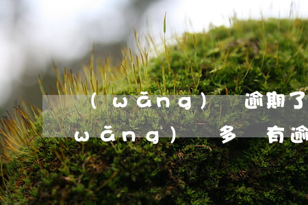 網(wǎng)貸逾期了能辦理車貸嗎(網(wǎng)貸多沒有逾期 可以辦車貸嗎)