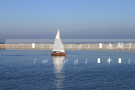 網(wǎng)貸逾期了花唄能用嗎(其他網(wǎng)貸平臺(tái)逾期了,花唄借唄里的錢還能正常使用嗎)