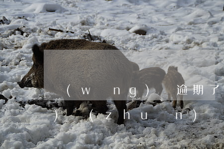 網(wǎng)貸逾期了被債權(quán)轉(zhuǎn)讓了該怎么辦-網(wǎng)貸逾期了被債權(quán)轉(zhuǎn)讓了該怎么辦呢
