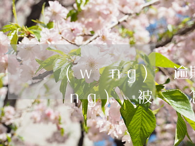 網(wǎng)貸逾期了被平凡騷擾(網(wǎng)貸被騷擾怎么辦)