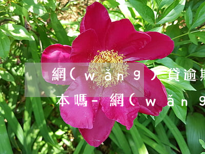 網(wǎng)貸逾期了被起訴還要帶戶口本嗎-網(wǎng)貸逾期了被起訴還要帶戶口本嗎怎么辦
