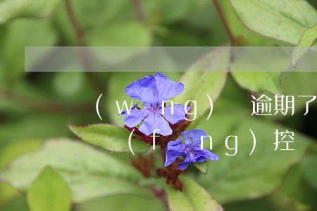 網(wǎng)貸逾期了說(shuō)交給風(fēng)控(網(wǎng)貸被風(fēng)控是什么原因)