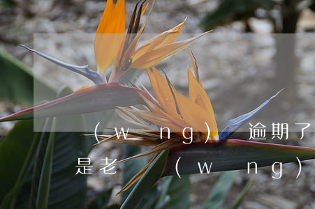 網(wǎng)貸逾期了說(shuō)你是老賴(網(wǎng)貸老賴注意了)