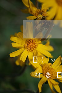 網(wǎng)貸逾期了說(shuō)去村委會(huì)(網(wǎng)貸逾期打電話給村委會(huì)合法嗎)