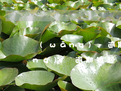網(wǎng)貸逾期了說要起訴(網(wǎng)貸逾期被起訴的有沒有)