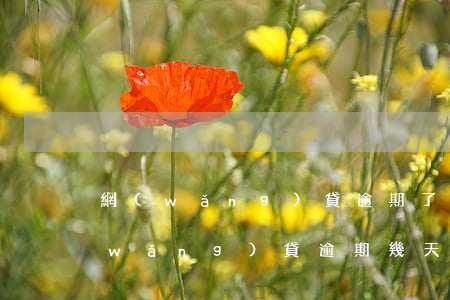 網(wǎng)貸逾期了讓我全部還清(網(wǎng)貸逾期幾天還了之后)
