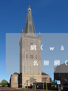 網(wǎng)貸逾期了負(fù)債高怎么辦(網(wǎng)貸負(fù)債過高怎么辦)