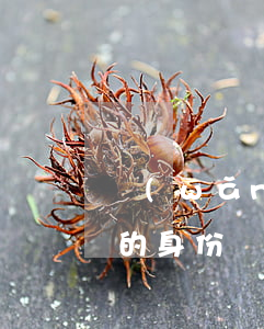 網(wǎng)貸逾期了身份證過期了(過期的身份證可以網(wǎng)貸嗎)