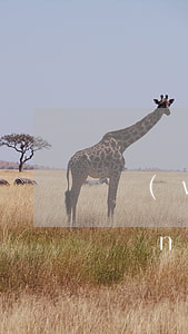 網(wǎng)貸逾期了辦銀行卡嗎(網(wǎng)貸逾期了可以辦銀行卡嗎)