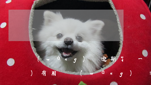 網(wǎng)貸逾期了還一點(diǎn)有用嗎(網(wǎng)貸逾期很久可以只還本金嗎)