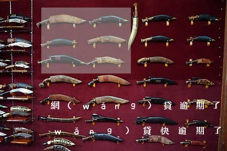 網(wǎng)貸逾期了還不上怎么辦(網(wǎng)貸快逾期了還不上怎么辦)