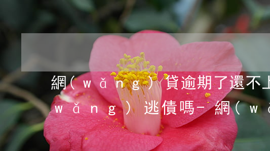 網(wǎng)貸逾期了還不上會被掛網(wǎng)逃債嗎-網(wǎng)貸逾期了還不上會被掛網(wǎng)逃債嗎知乎