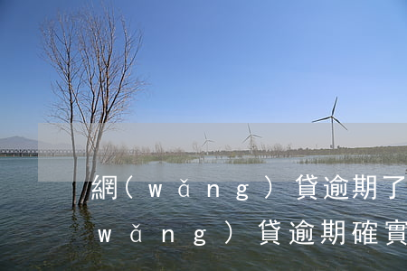 網(wǎng)貸逾期了還不起怎么辦(網(wǎng)貸逾期確實還不上又協(xié)商不了怎么辦)