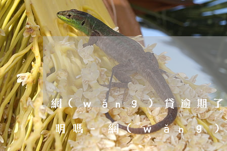 網(wǎng)貸逾期了還了逾期需要開證明嗎-網(wǎng)貸逾期了還了逾期需要開證明嗎怎么辦