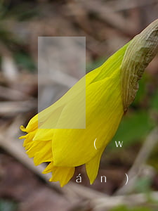 網(wǎng)貸逾期了還借得到錢(qián)嗎(網(wǎng)貸逾期還完了還能再借嗎)