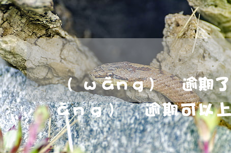 網(wǎng)貸逾期了還能上門嗎(網(wǎng)貸逾期可以上門催收嗎)