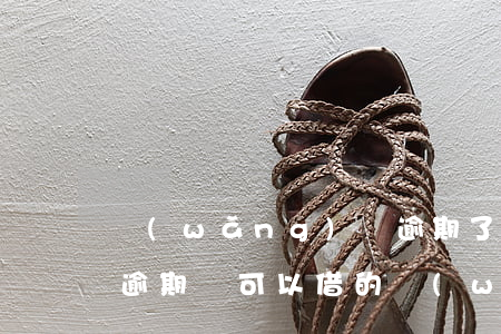 網(wǎng)貸逾期了還能再借嗎(當前有逾期還可以借的網(wǎng)貸有沒有?)