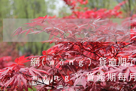 網(wǎng)貸逾期了還能拿多少錢(網(wǎng)貸逾期每月還幾百)
