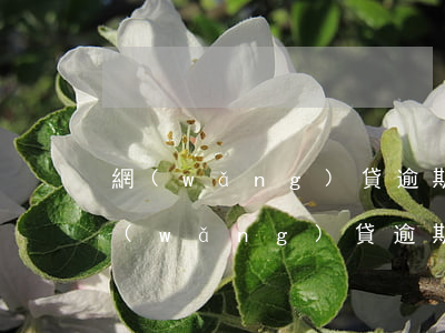 網(wǎng)貸逾期了還能看通訊錄嗎(網(wǎng)貸逾期把通訊錄刪掉有沒有用)