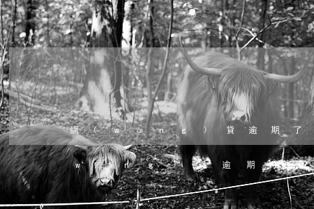 網(wǎng)貸逾期了還能辦信用卡(網(wǎng)貸逾期了還能辦信用卡不)