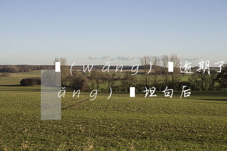 網(wǎng)貸逾期了還要坦白嗎(網(wǎng)貸坦白后)